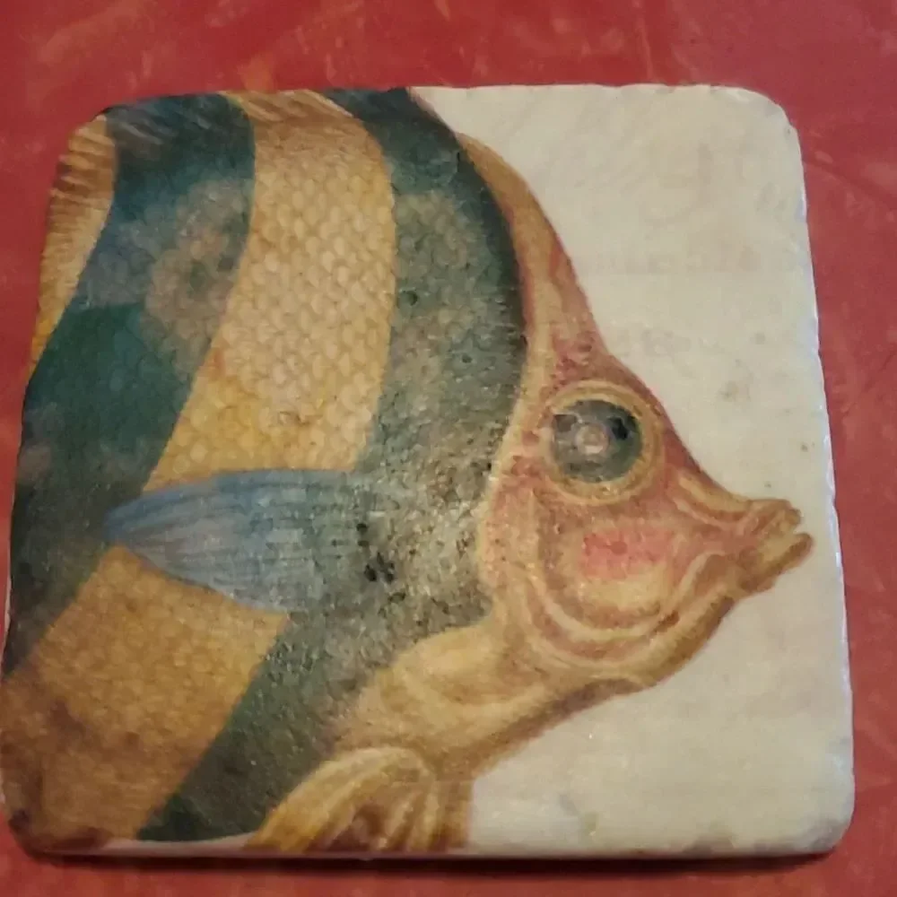 Tim Coffey Fish Sone Coasters Set of 4 Cork Backs Fishing Man Cave Marine Life